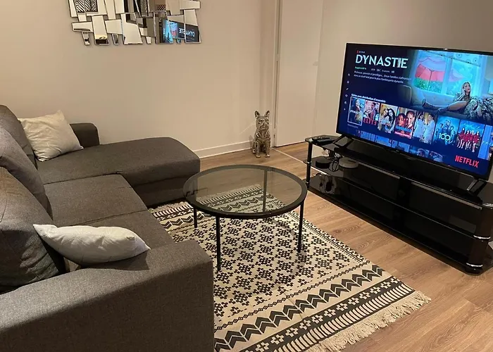 Le Black & White, Hyper Centre - Paisible- Wifi Hd- Netflix- Proche Gare -Ideal Couple Et Business